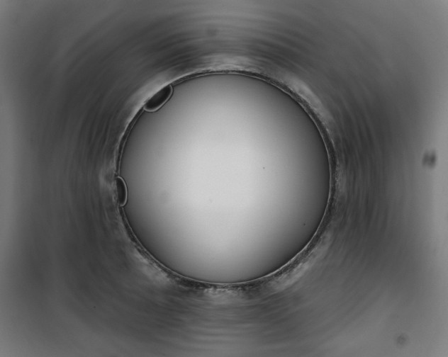 X0000100751089200807031330