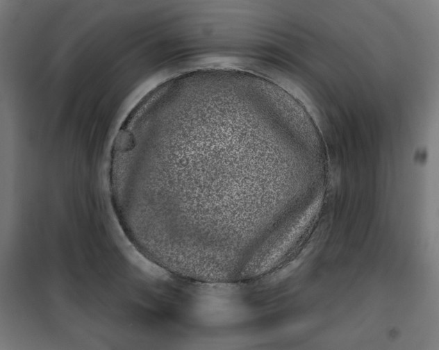 X0000100751090200807031330