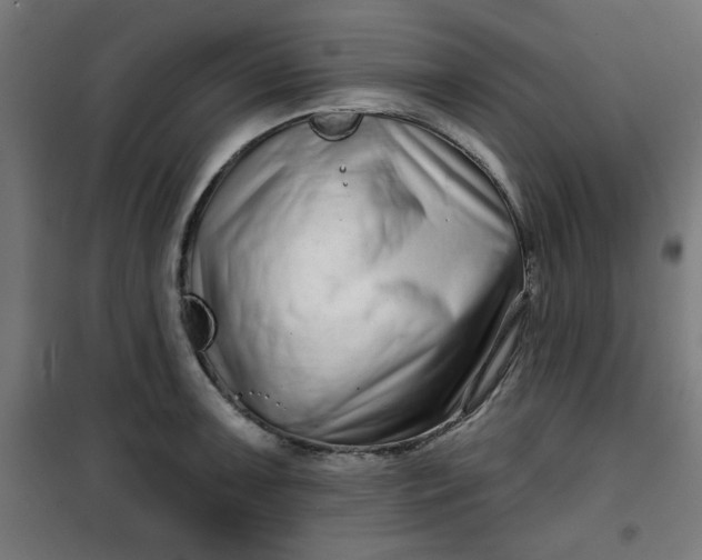 X0000100751091200807031330