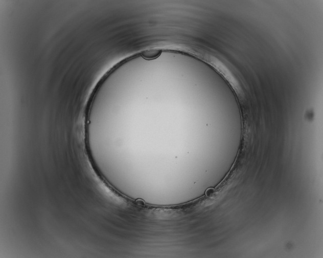 X0000100751092200807031330