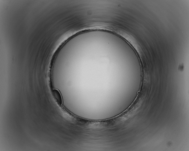 X0000100751093200807031330