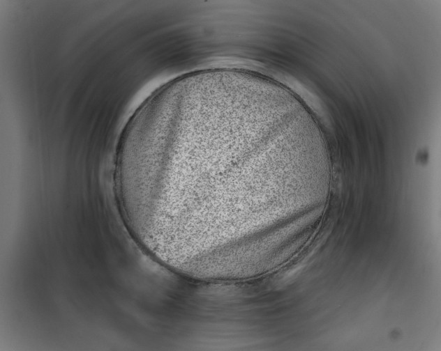 X0000100751094200807031330