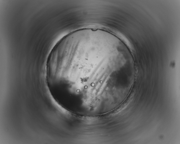 X0000100751095200807031330