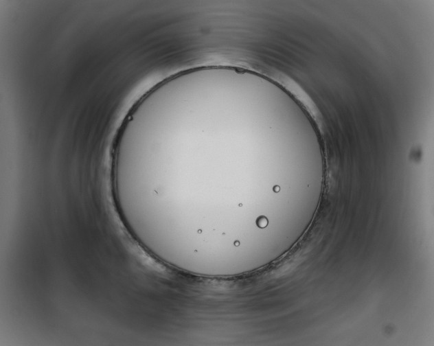 X0000100751096200807031330