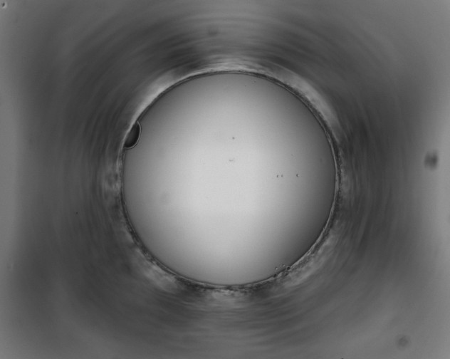 X0000100751097200807031330