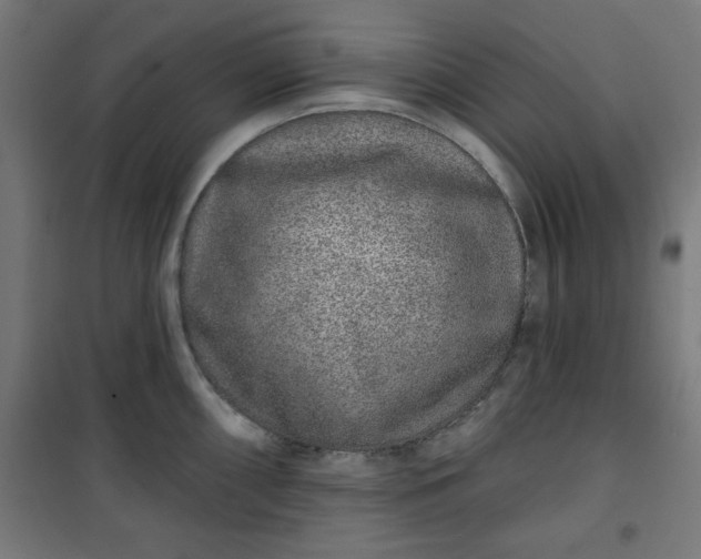 X0000100751098200807031330