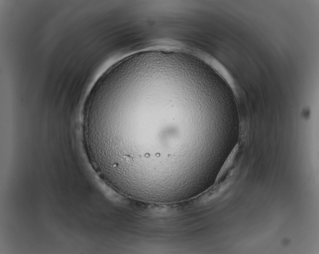 X0000100751099200807031330