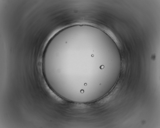 X0000100751100200807031330