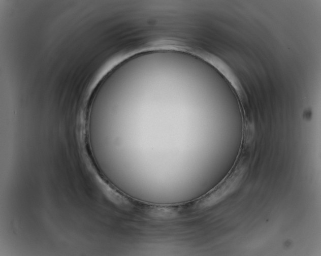 X0000100751101200807031330