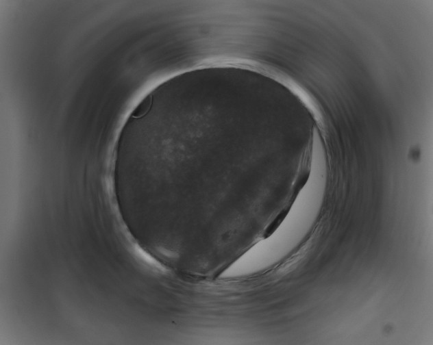 X0000100751102200807031330