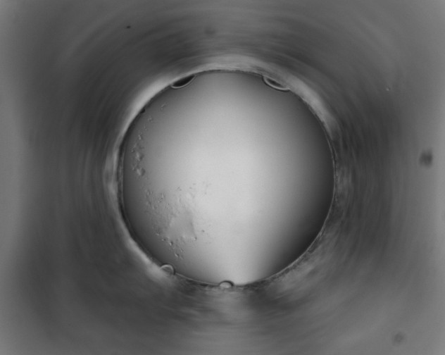 X0000100751103200807031330