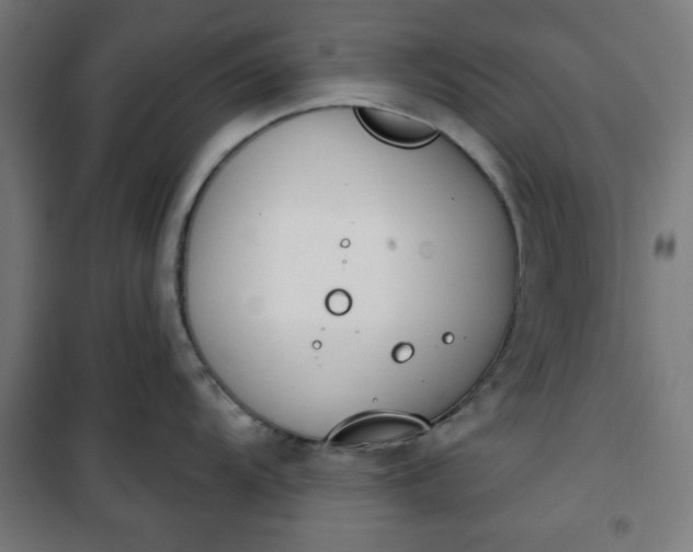 X0000100751104200807031330