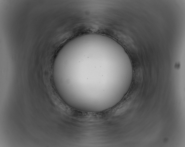 X0000100751105200807031329