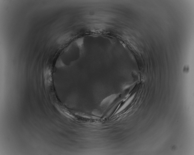 X0000100751106200807031329