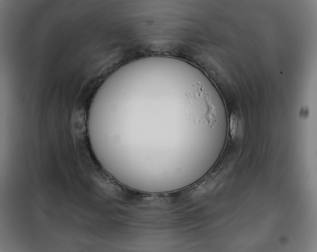 X0000100751107200807031329