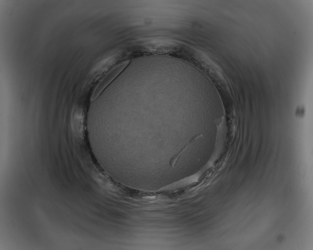 X0000100751108200807031329