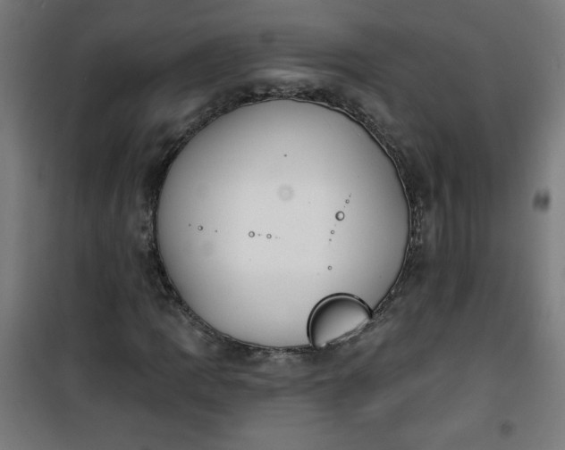 X0000100751109200807031329