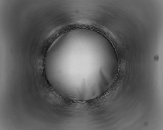 X0000100751110200807031329