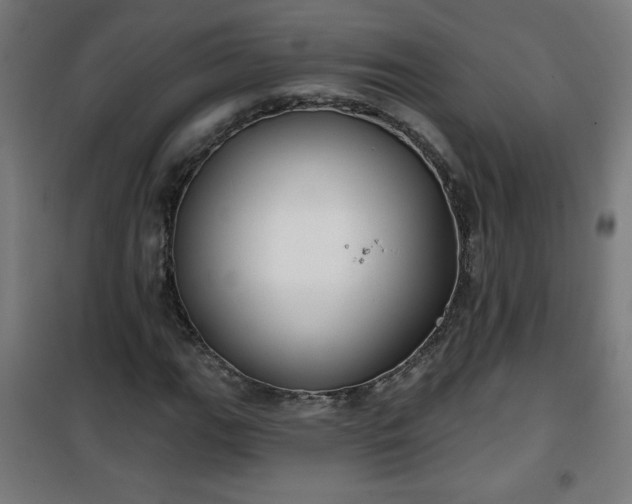 X0000100751111200807031329