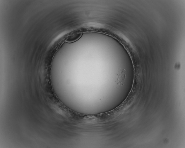 X0000100751112200807031329