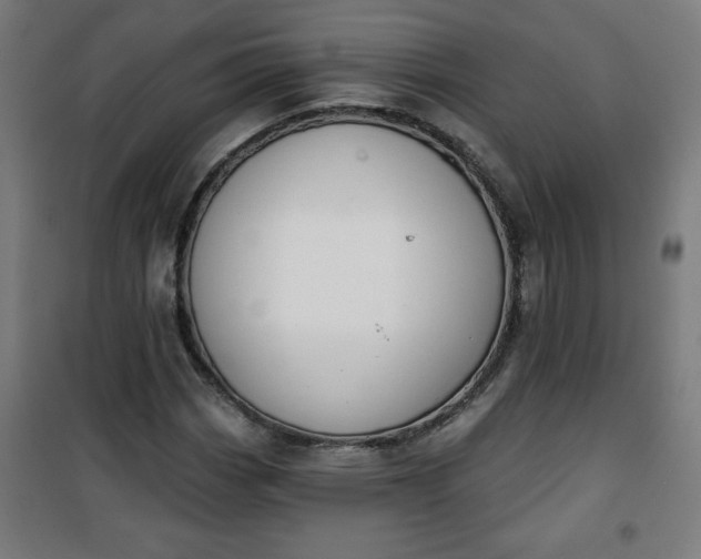 X0000100751113200807031329