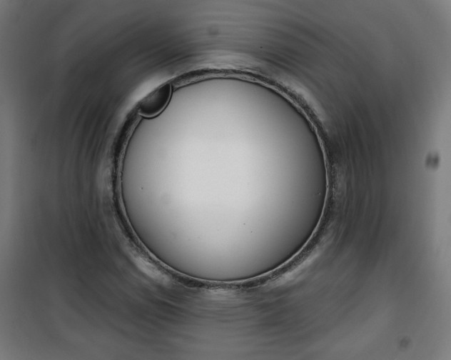 X0000100751114200807031329