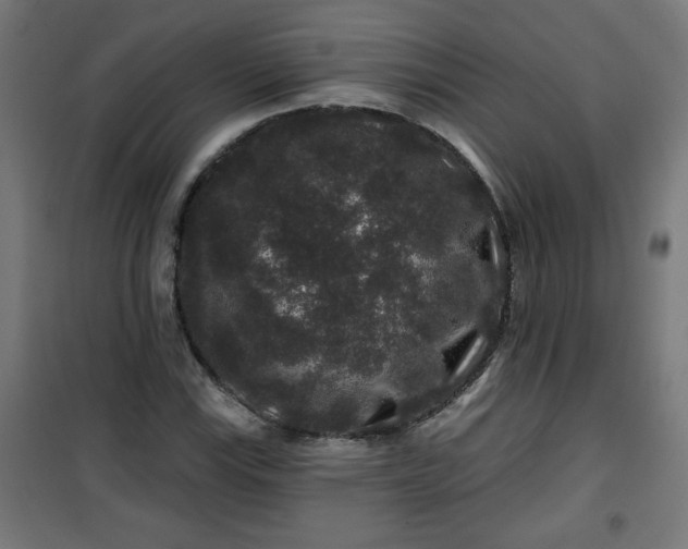 X0000100751115200807031329