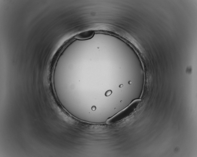 X0000100751116200807031329