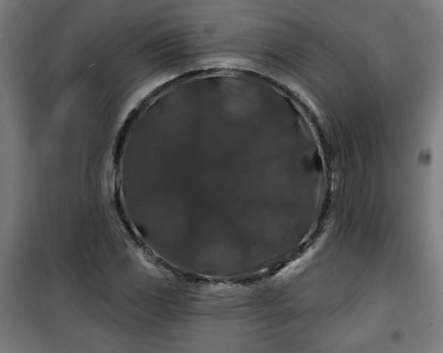 X0000100751117200807031329