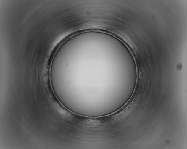 X0000100751119200807031329