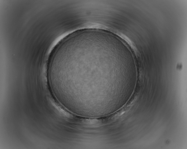 X0000100751120200807031329