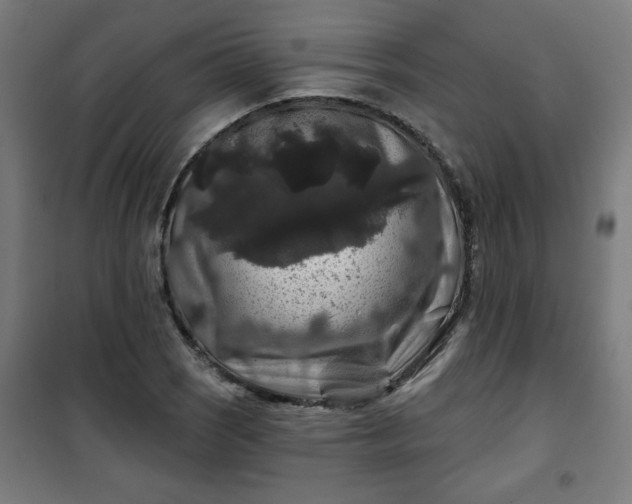 X0000100751121200807031329