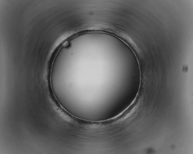 X0000100751122200807031329