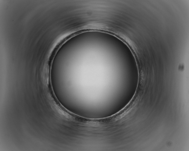 X0000100751123200807031329