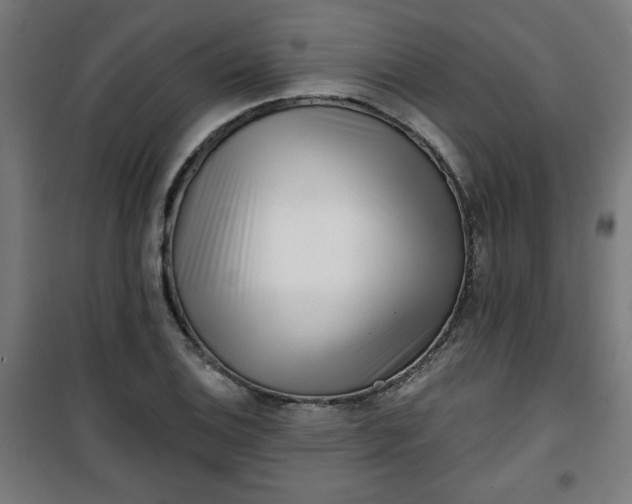 X0000100751124200807031329