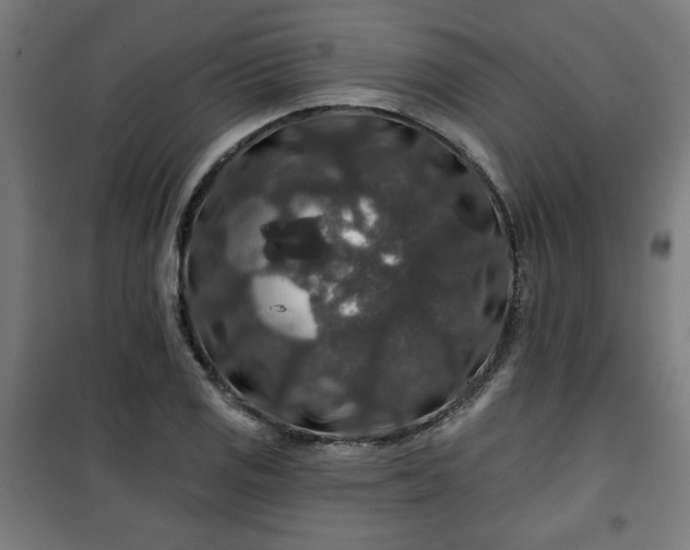 X0000100751125200807031329