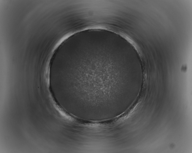 X0000100751127200807031329