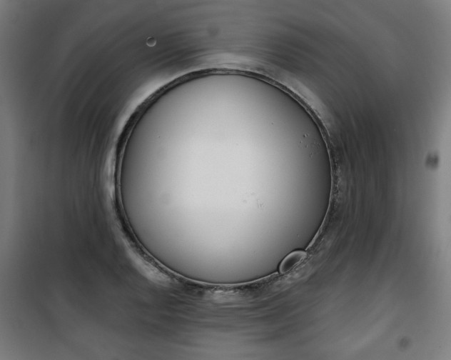 X0000100751128200807031329