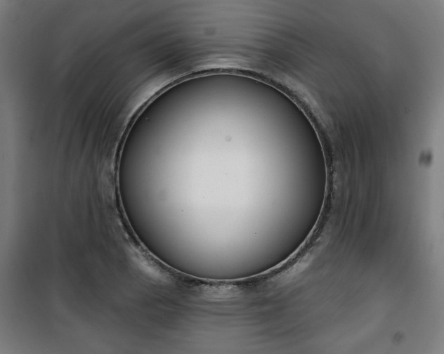 X0000100751129200807031329