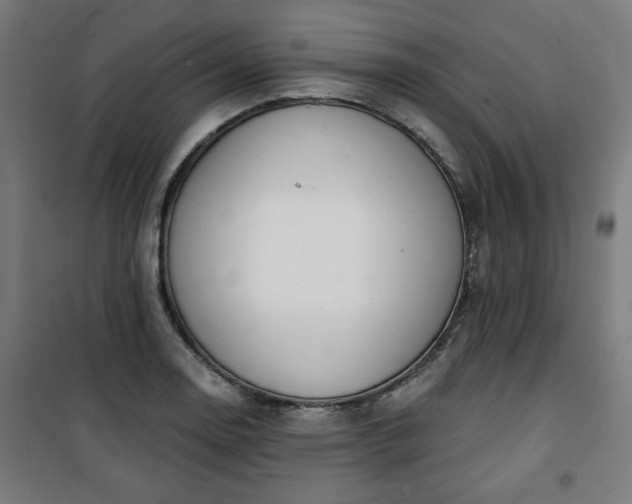 X0000100751130200807031329