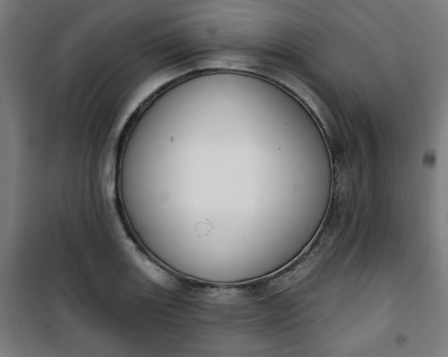 X0000100751131200807031330