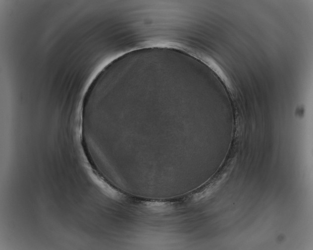 X0000100751132200807031330