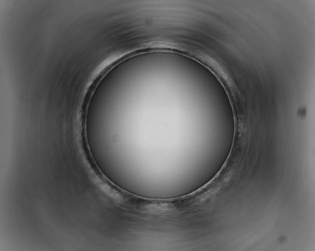 X0000100751133200807031330