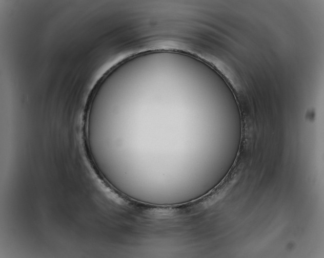 X0000100751134200807031330