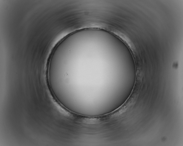 X0000100751135200807031330