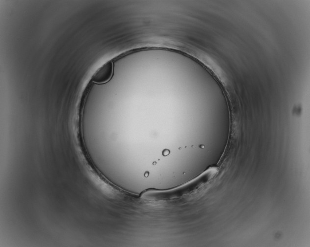 X0000100751136200807031330