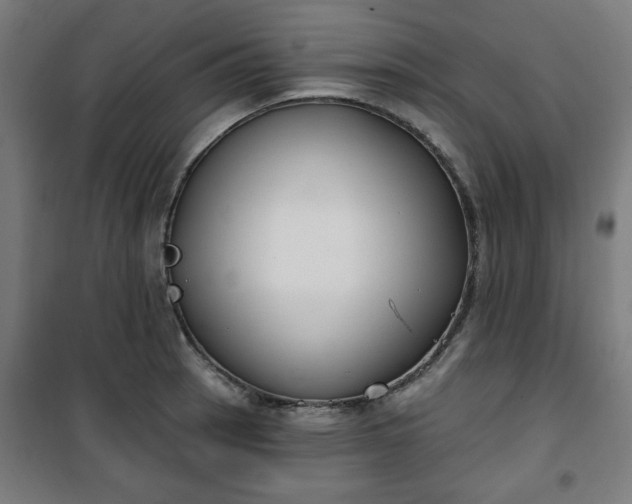 X0000100751137200807031330