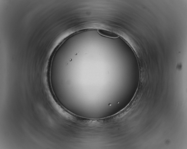 X0000100751139200807031330