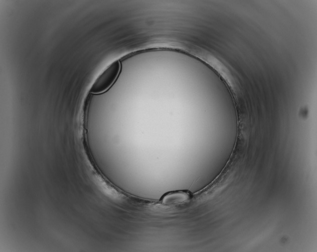 X0000100751140200807031330