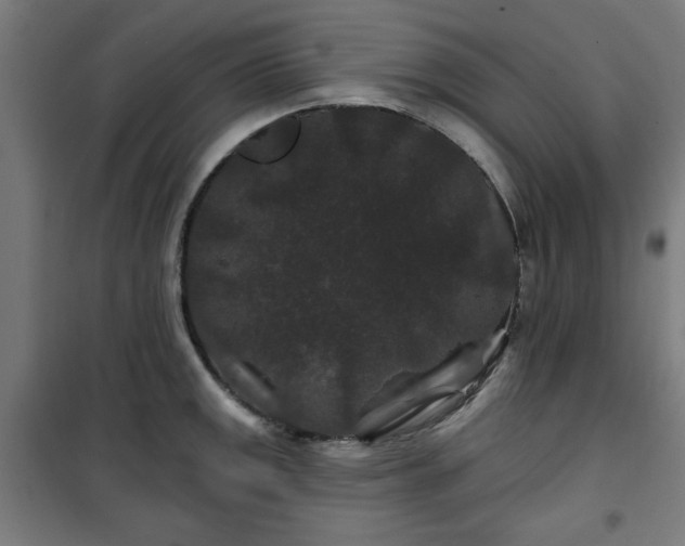 X0000100751141200807031330